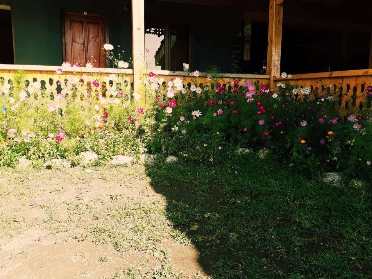 Guesthouse Lasharai Omalo Exterior foto